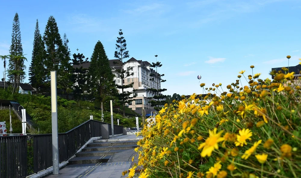 住宿场地