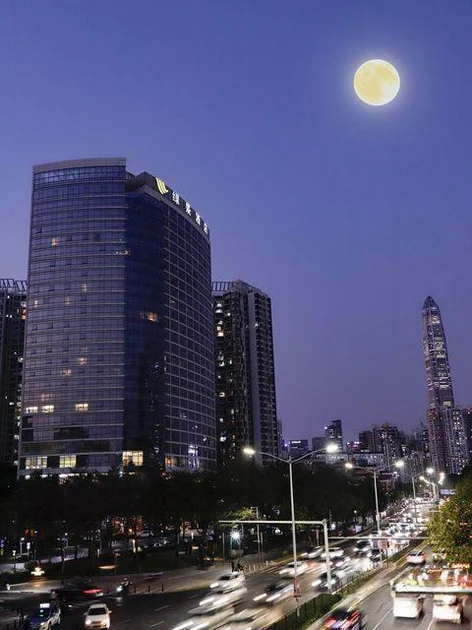 深圳绿景酒店