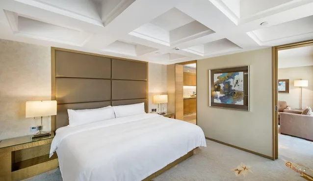 Deluxe Business Suite (One-bedroom)