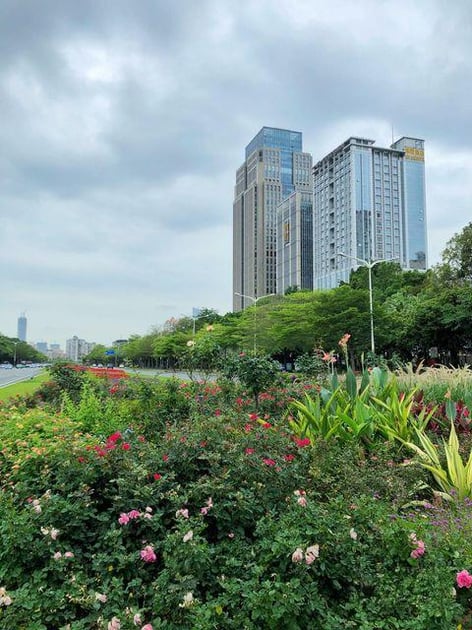 True Go Hotel (Garden Expo Park Branch, Zhuzilin Subway Station, Futian District, Shenzhen)