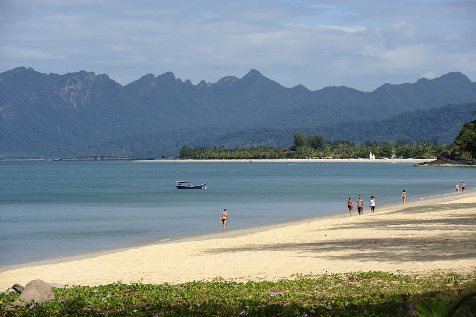 Pemandangan dari hartanah