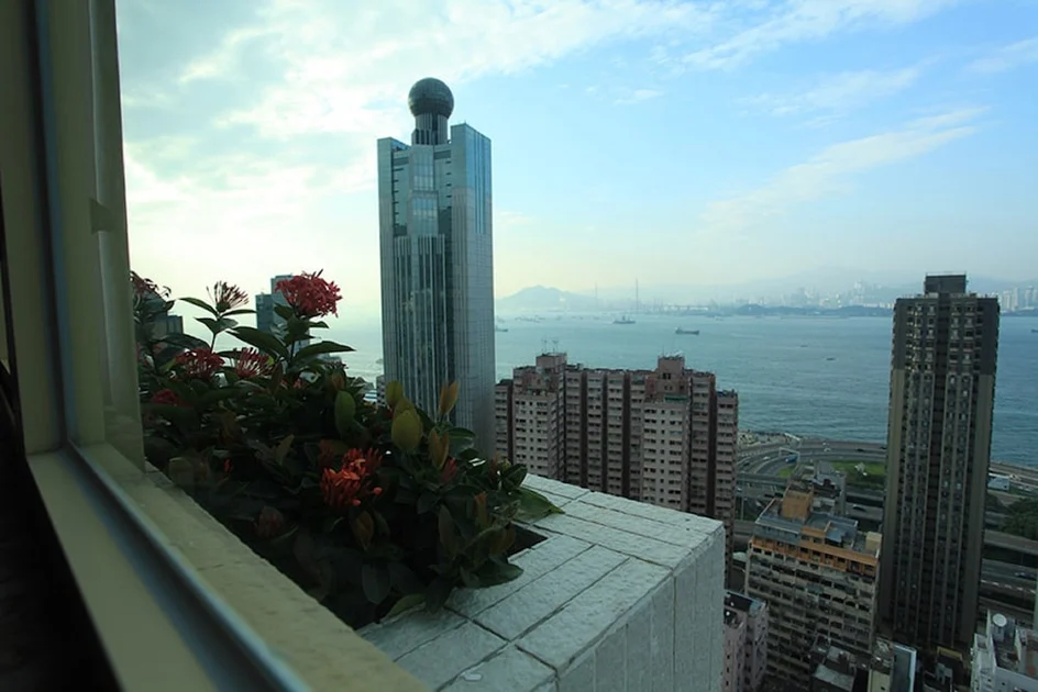 客房景觀