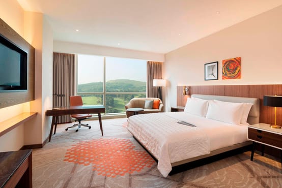 1 Twin Bed and 1 King Bed, Large Room
