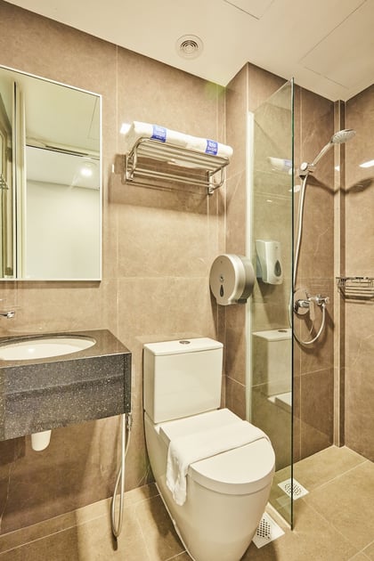 ibis budget Singapore Ametrine