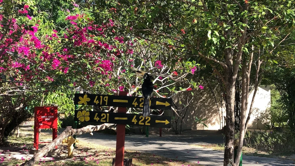 Taman