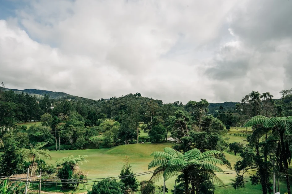 Golf view