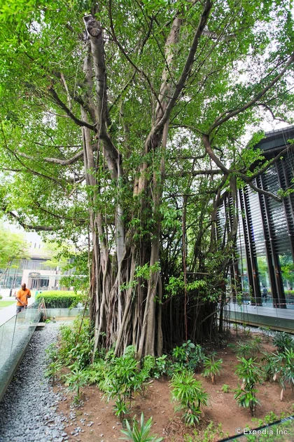 住宿场地