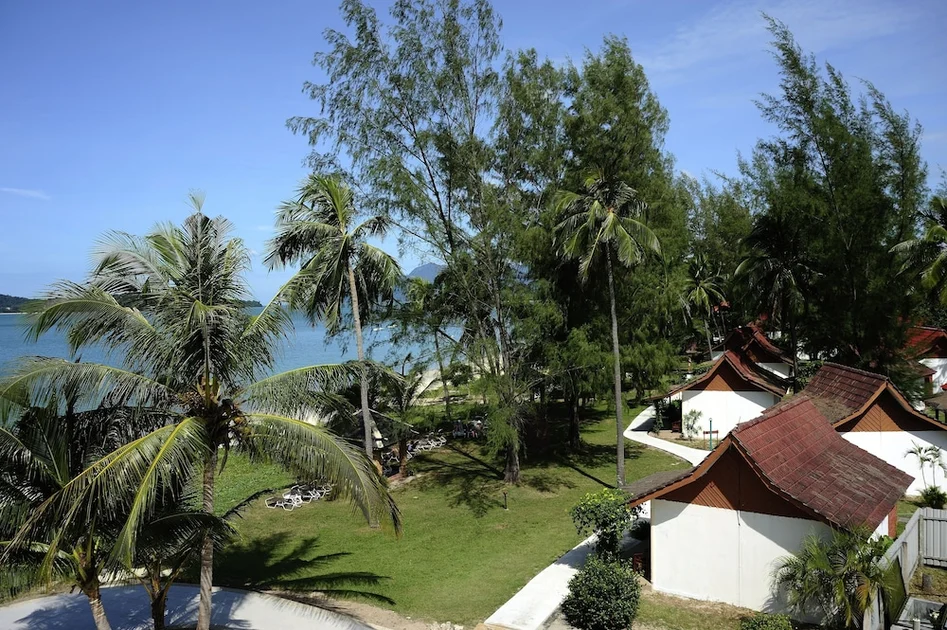 Taman