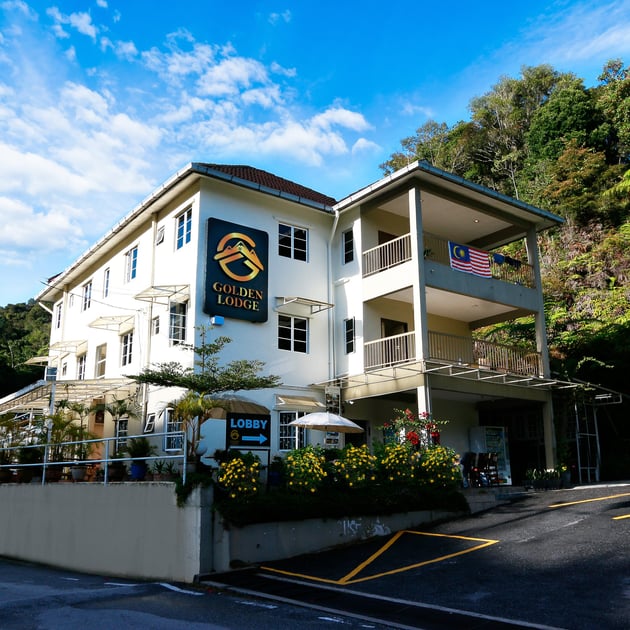 Swing & Pillows @ Golden Lodge Tanah Rata, Cameron Highlands (previously known as Golden Lodge)