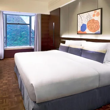 Hill View King or Twin Room