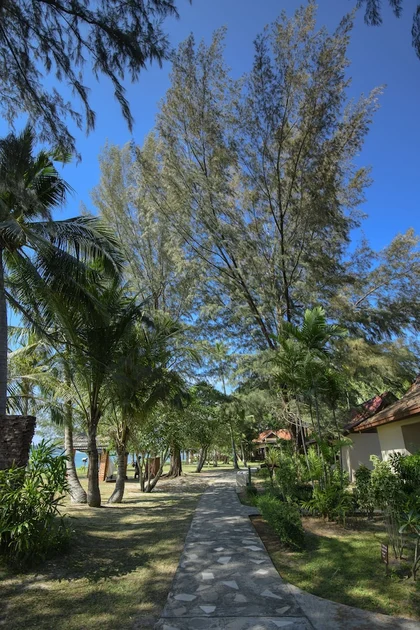 Taman