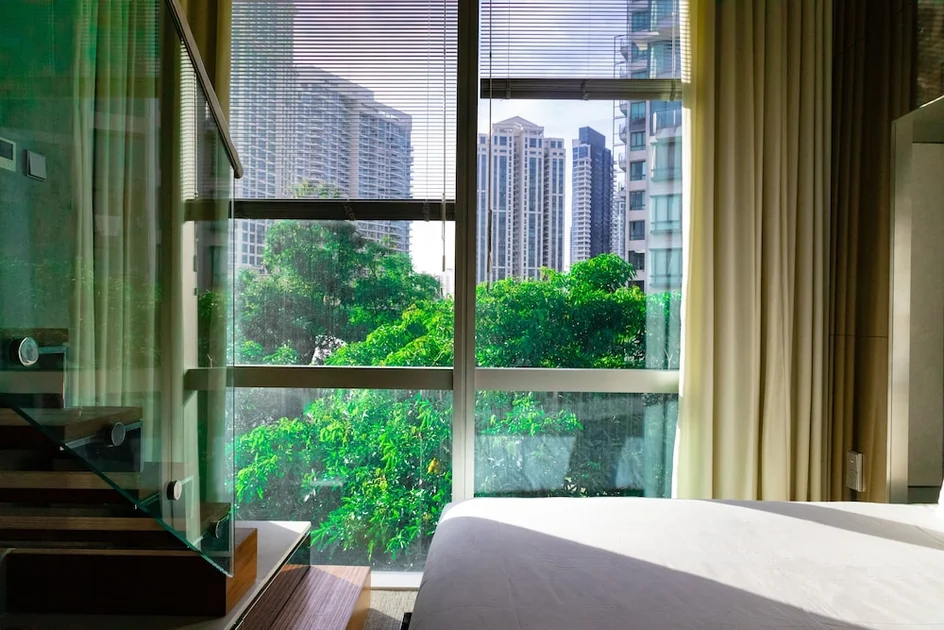 View from room