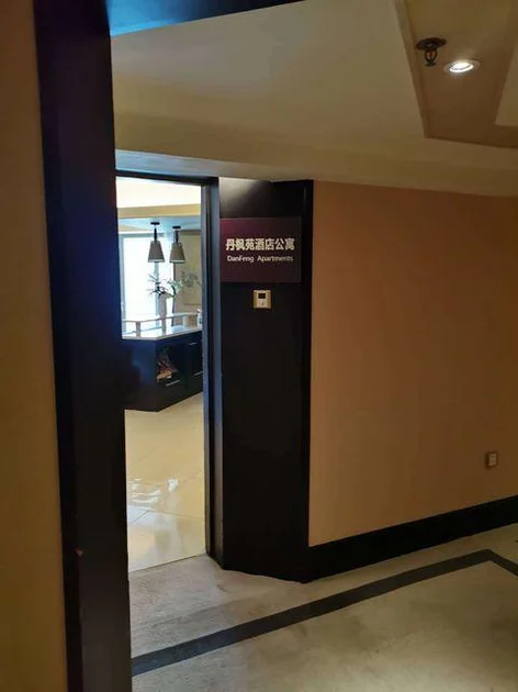 DanFeng  Apartments (Shenzhen Danfeng Bailu Store)