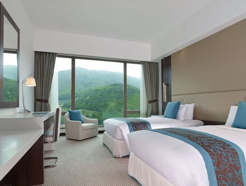 Mountain View Room