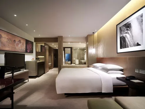 Room, 1 King Bed