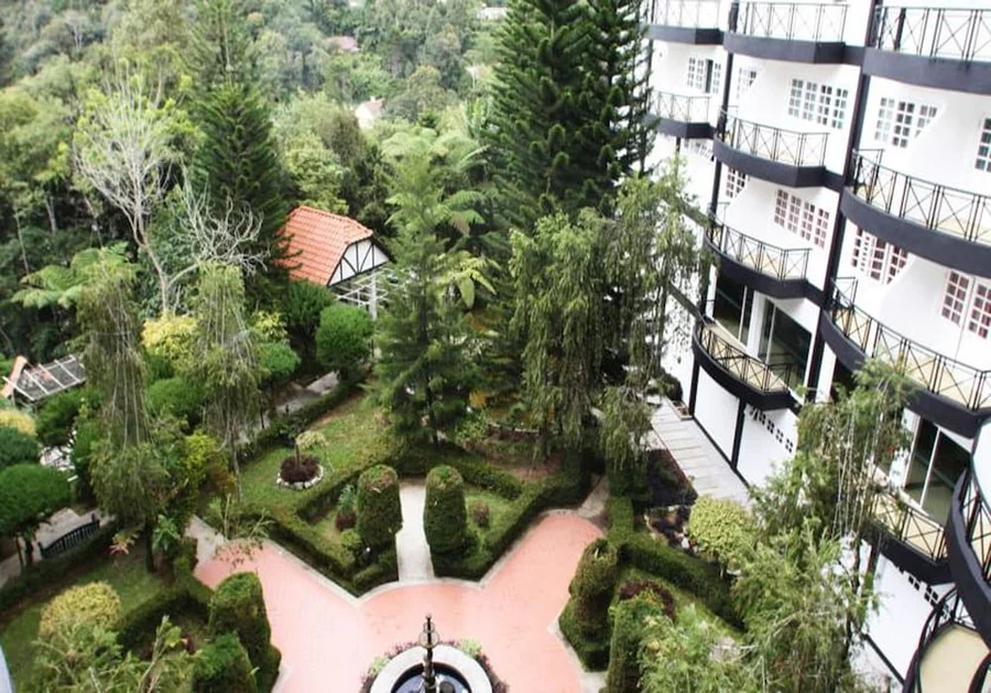 Garden