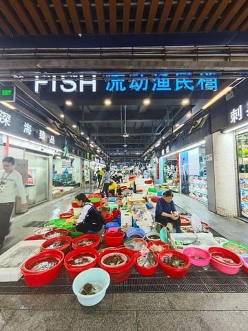 深圳品上雲端服务式公寓
