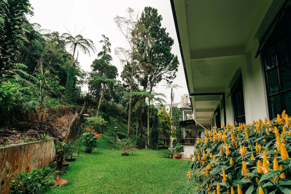 Garden view