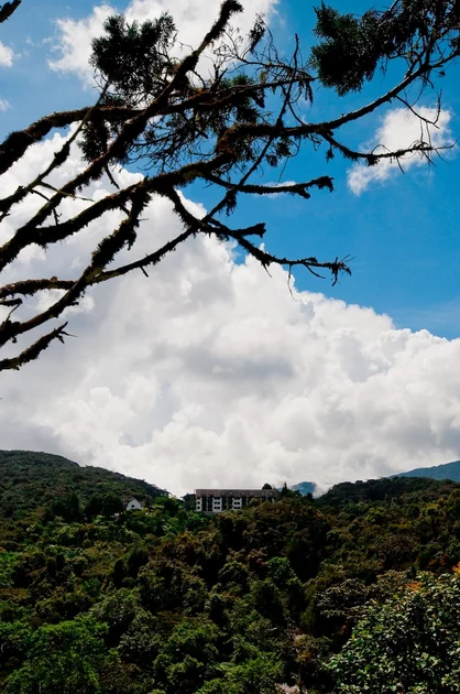 Pemandangan gunung