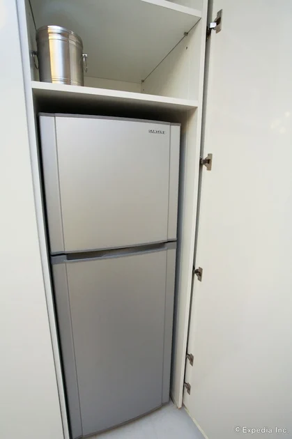 Mini-refrigerator
