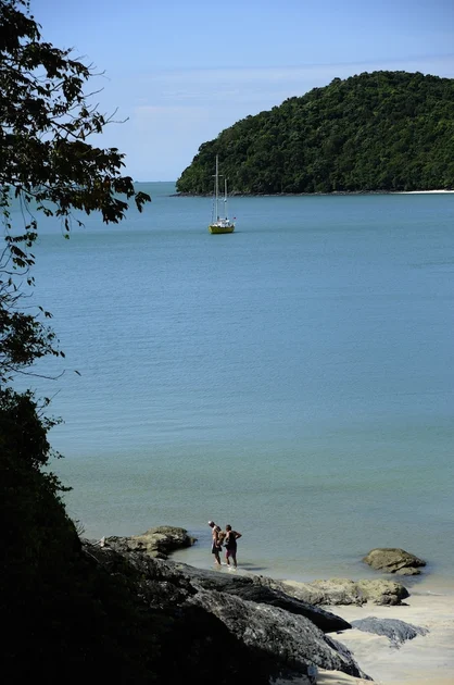 Pemandangan dari hartanah