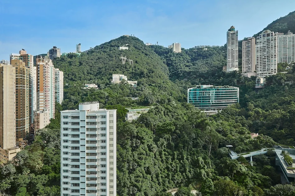 客房景觀