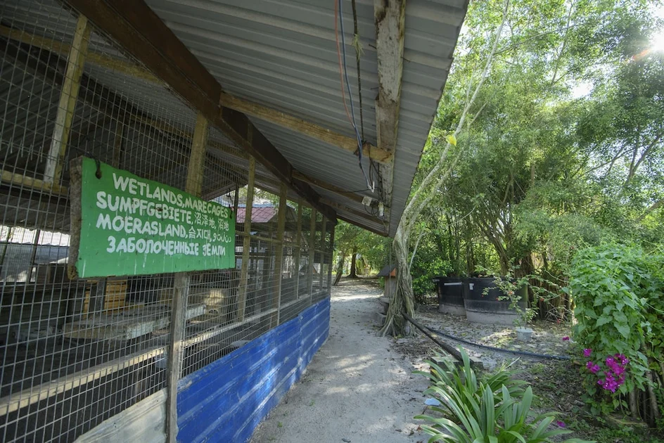 Ekopelancongan