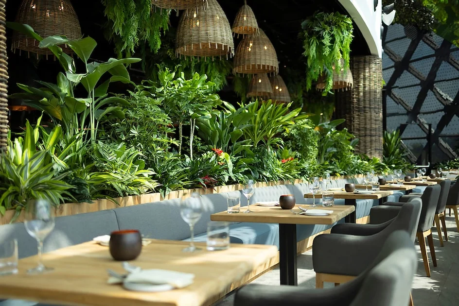 用餐