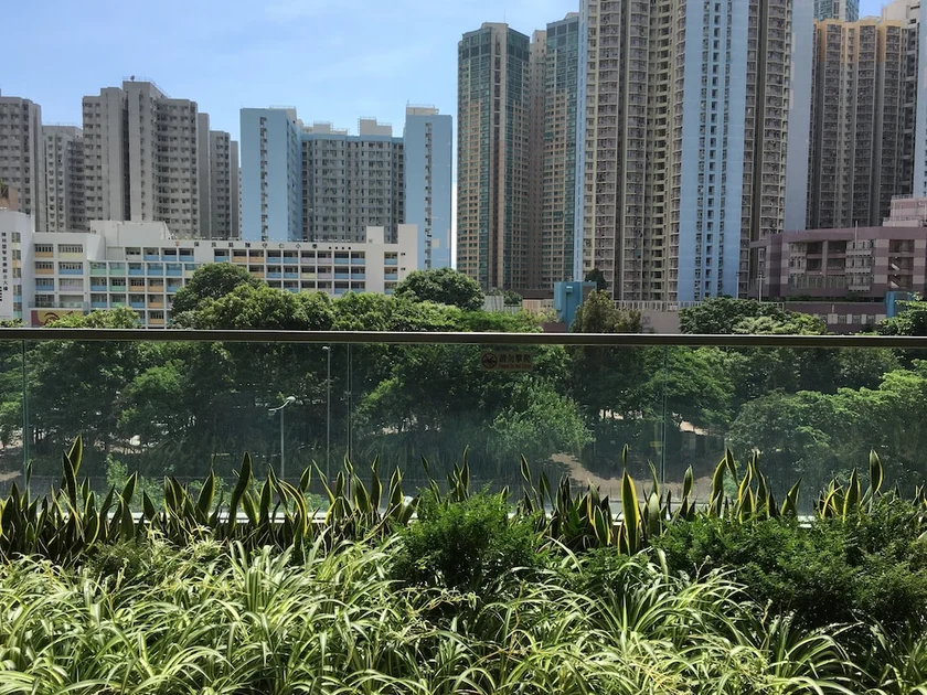 View from property