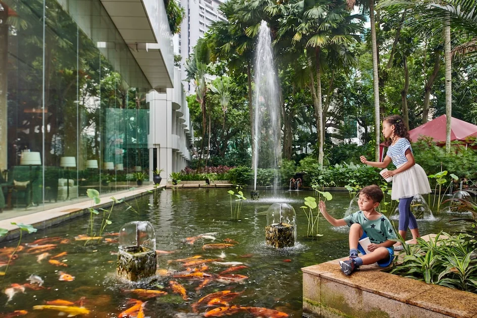 Children's activities